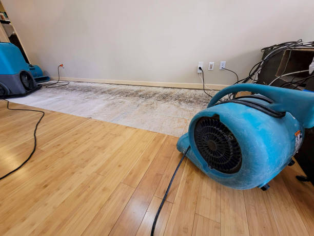Professional Ceiling Water Damage Repair technician working in Kenwood, CA